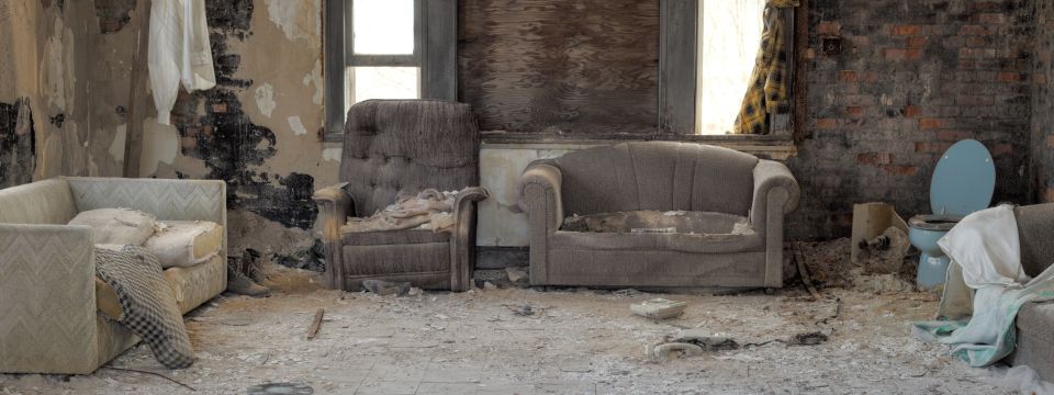 MOLD REMOVAL