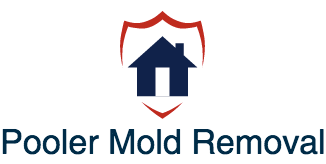 Pooler Mold Removal